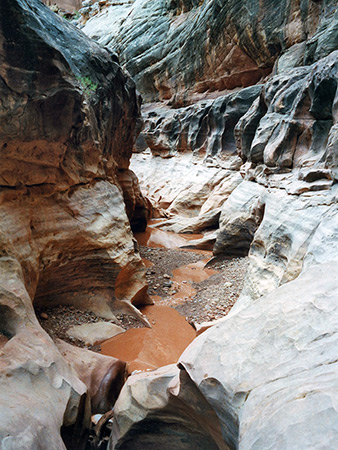 Photographs of White Canyon