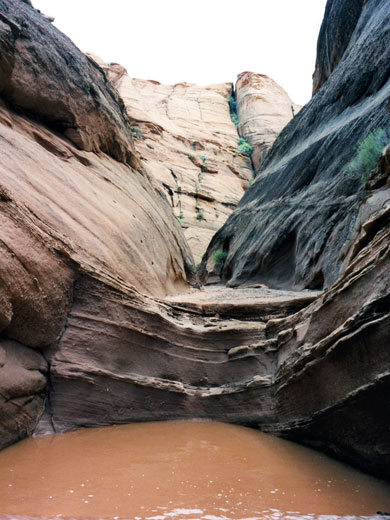 Pool in Water Holes Canyon