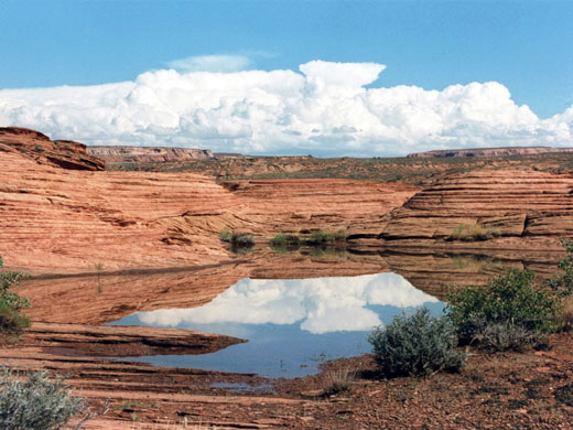 Pool on the sandstone plateau above Glen Canyon