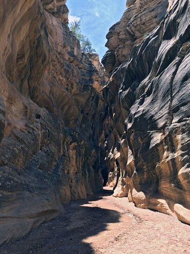 Photographs of Willis Creek