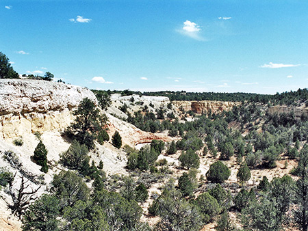 Photographs of Willis Creek