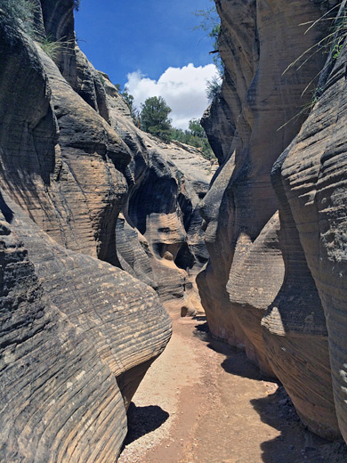 Photographs of Willis Creek