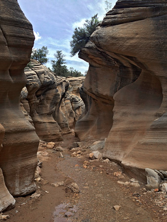 Photographs of Willis Creek