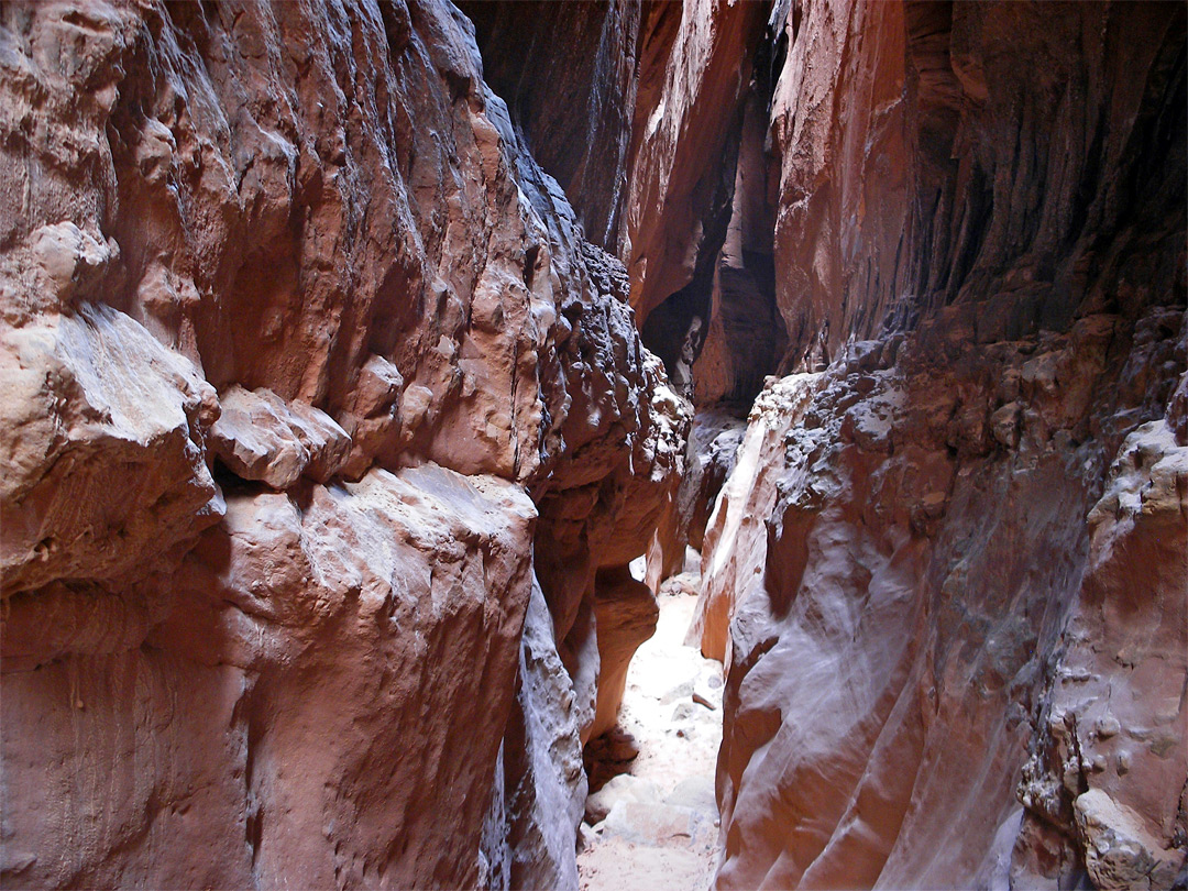 Jagged rocks