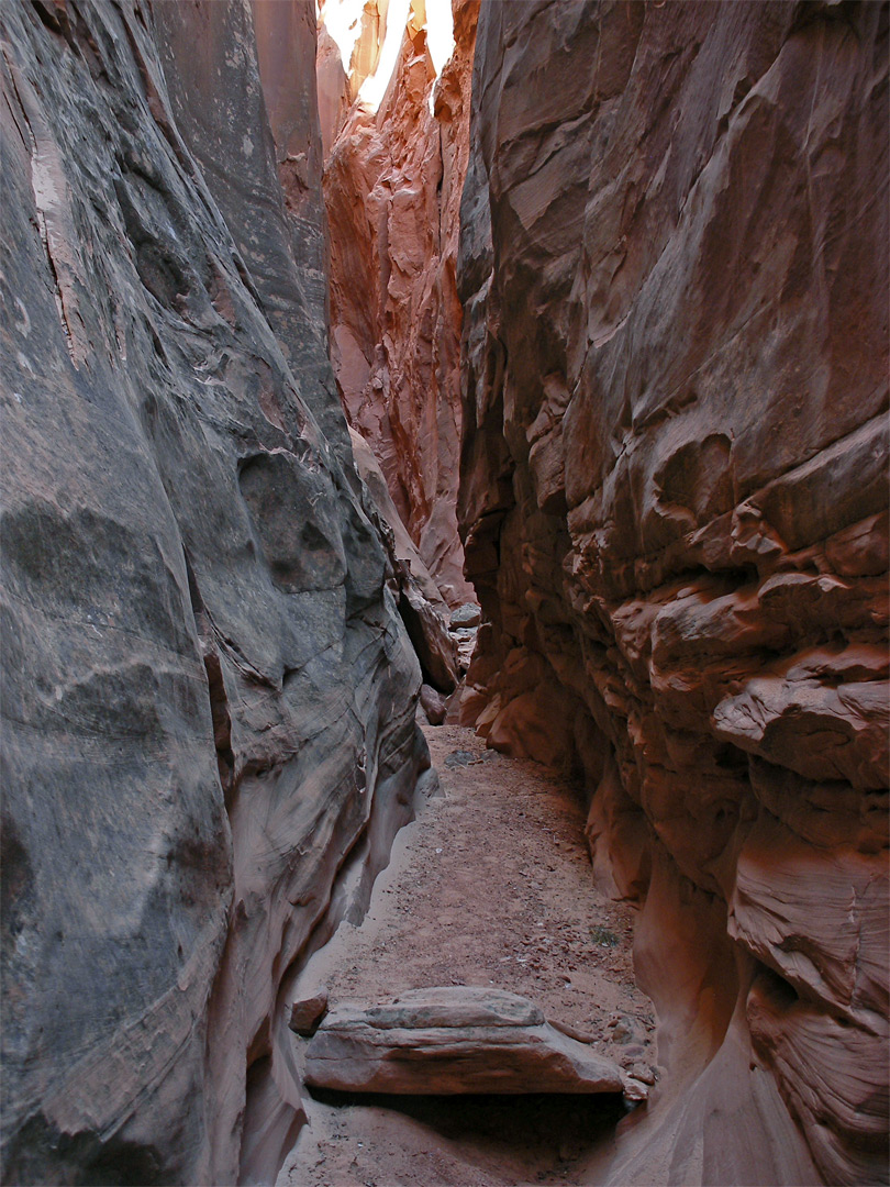 Middle of the canyon