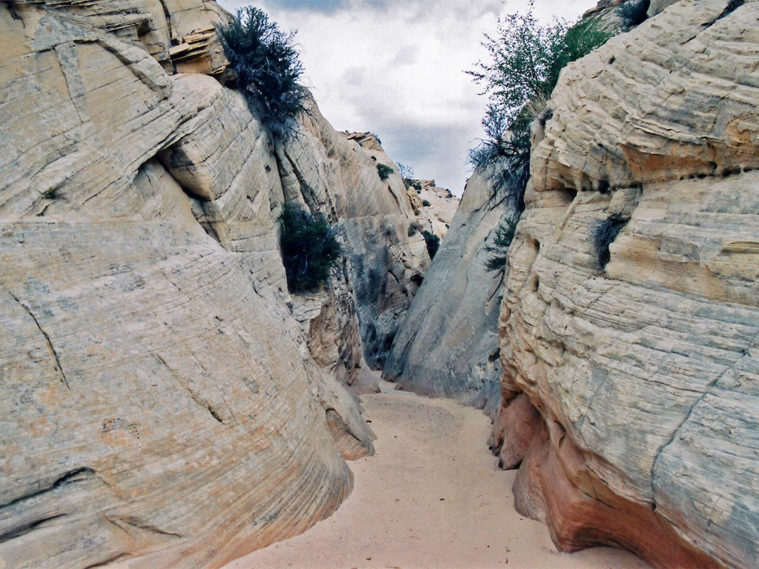 Upper part of the canyon