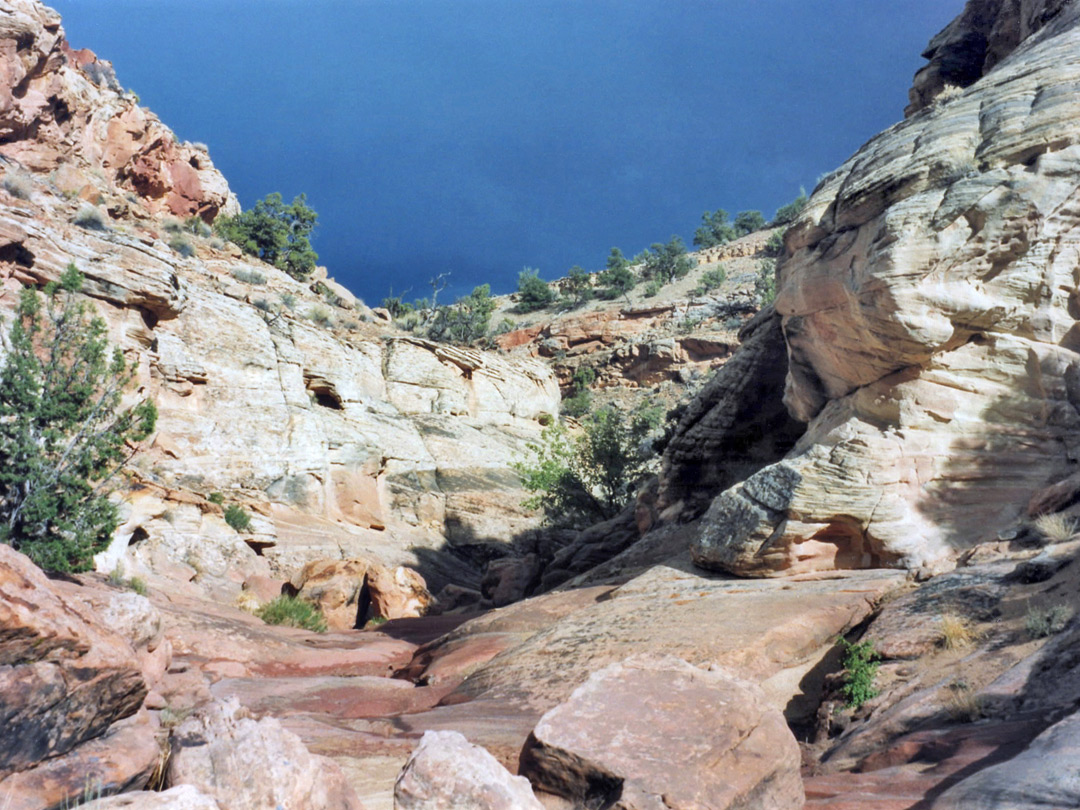 Approaching storm above the lower canyon