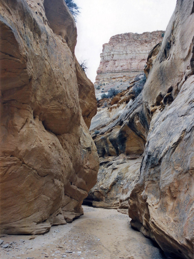 Middle of Devils Canyon