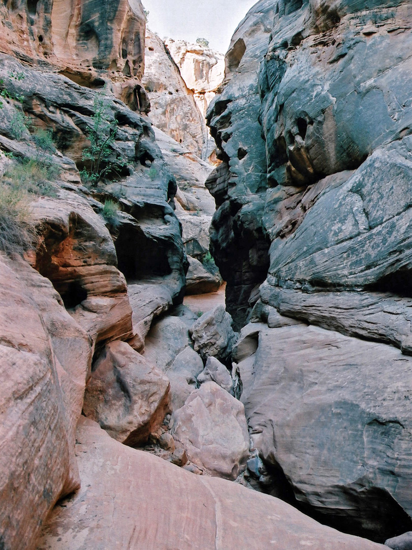 Boulders in the upper canyon