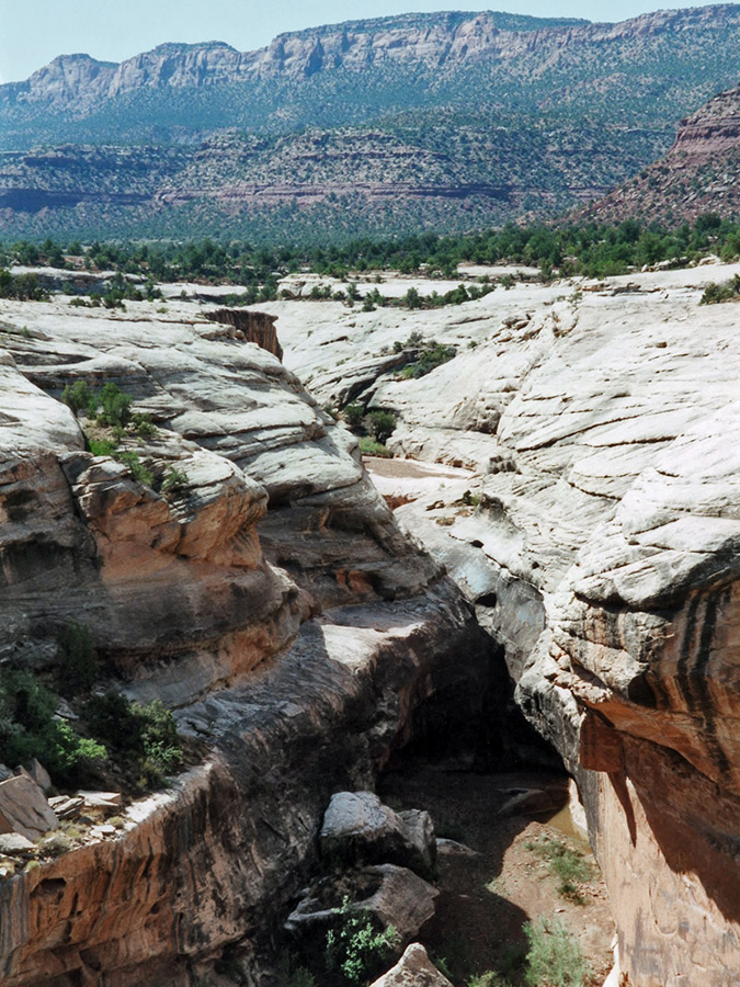 Wide view, looking upstream