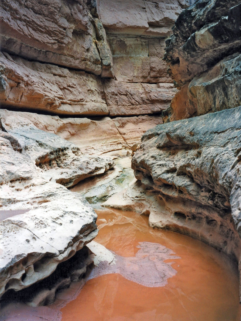 Muddy pool