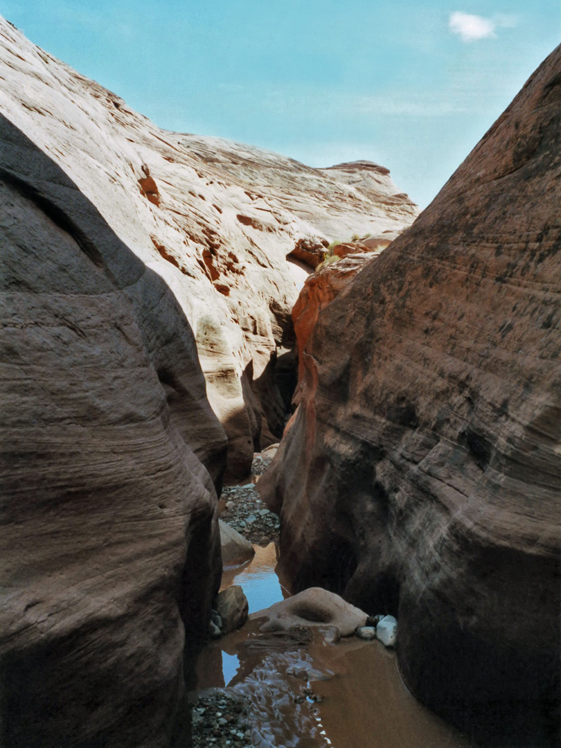 Pool in the middle of the canyon