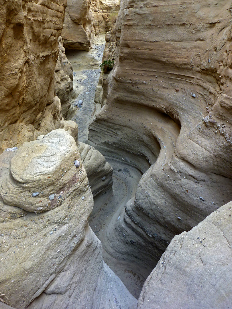 Palm Wash, Anza Borrego Desert State Park, California