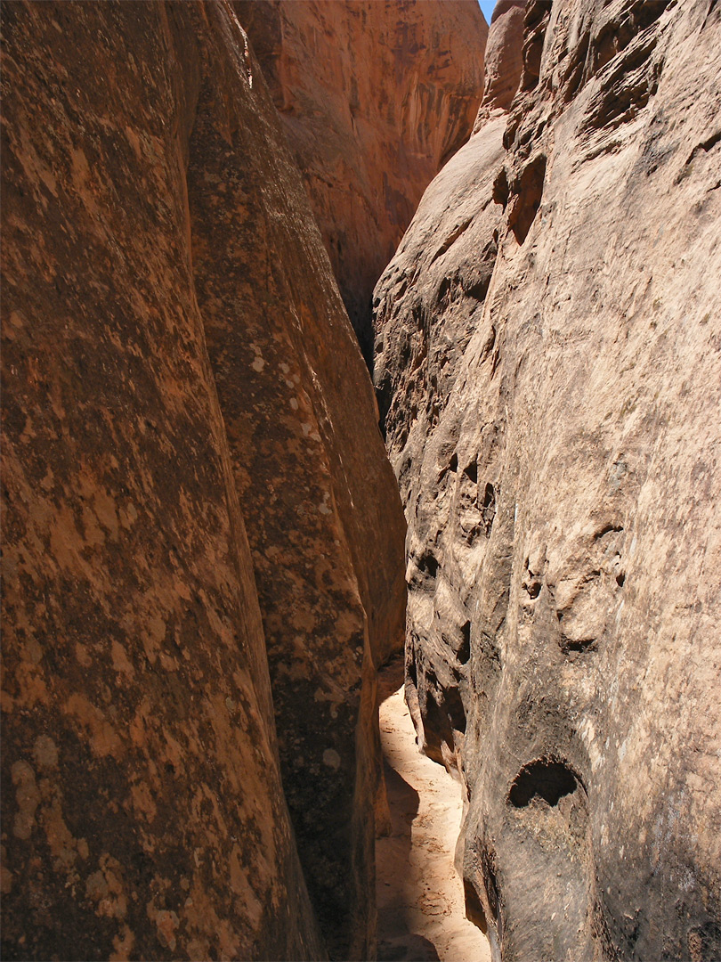 Winding canyon floor