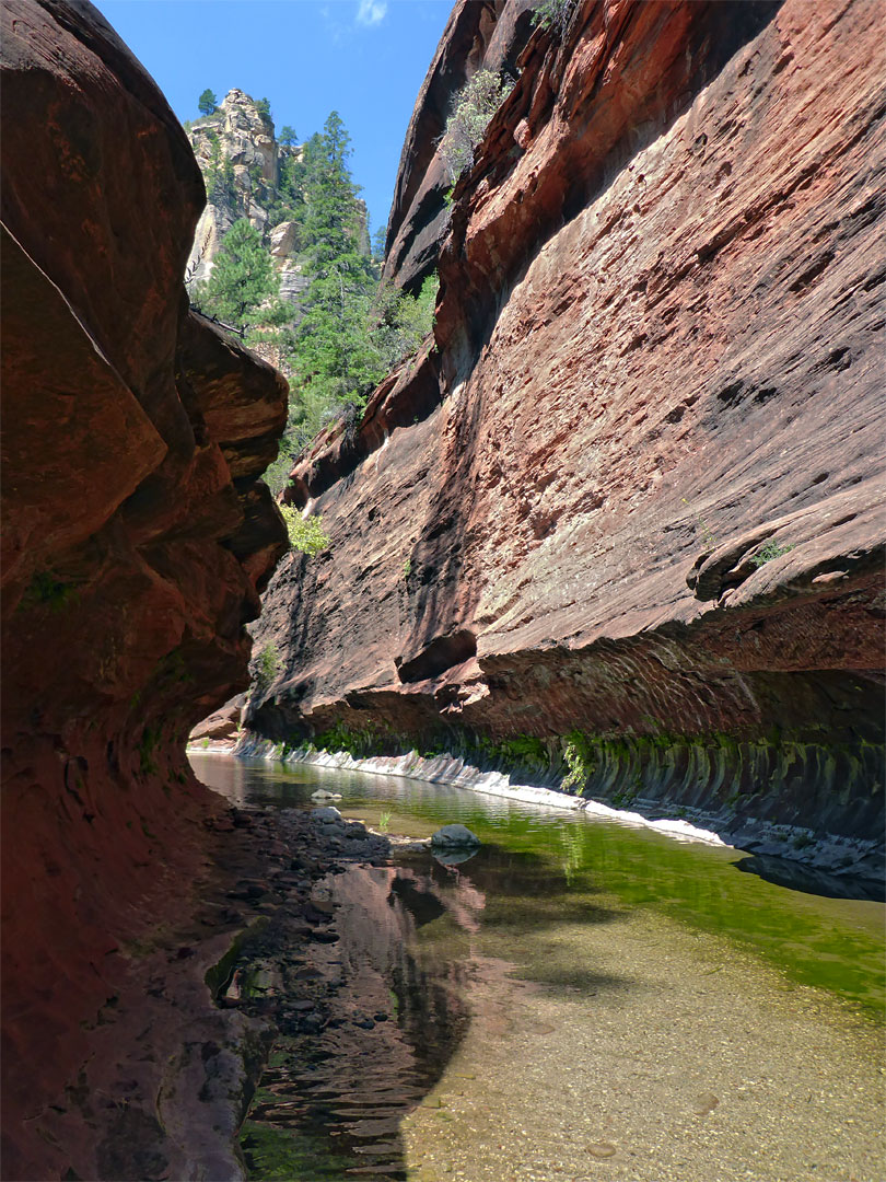 Long, shallow pool