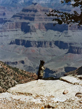 Photographs of South Rim, Grand Canyon National Park
