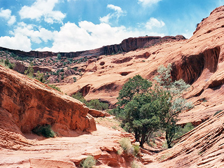 Photographs of Canyon de Chelly National Monument