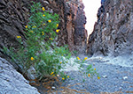Closed Canyon
