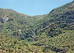 McKittrick Canyon