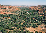 Lighthouse Trail