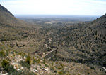 Tejas