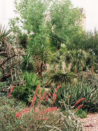 Photographs of San Antonio Missions National Historical Park