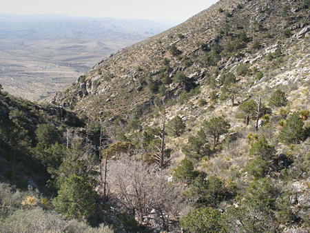 Middle of Bear Canyon