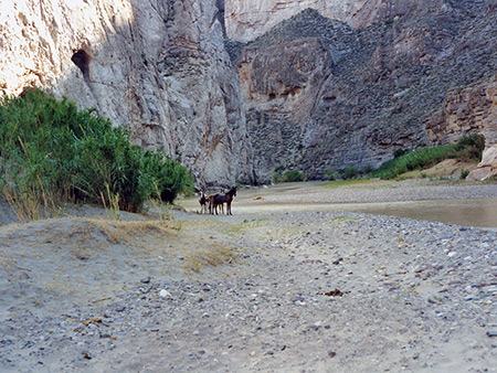 Photographs of Big Bend National Park