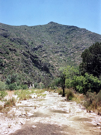 Photographs of Guadalupe Mountains National Park