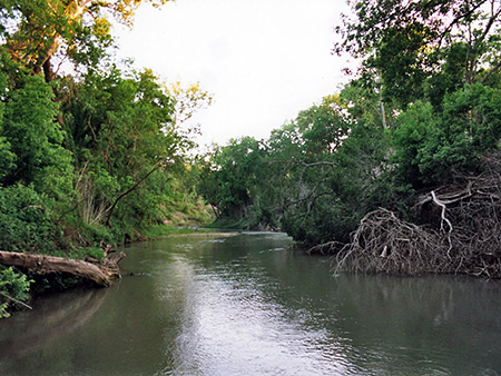 Photographs of Palmetto State Park