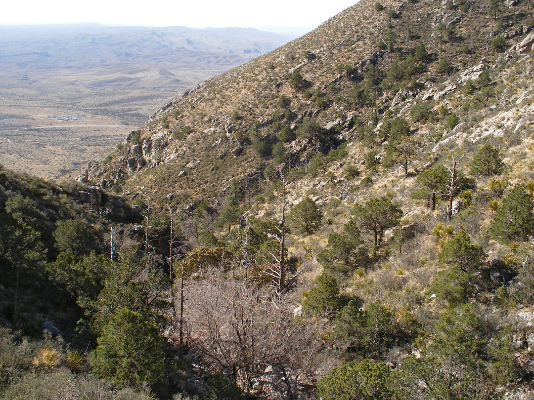 Middle of Bear Canyon