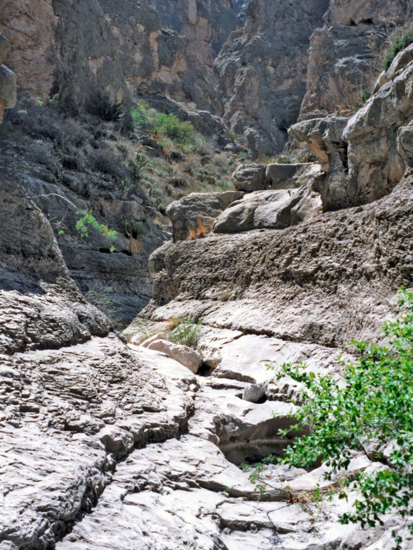 Tributary of Boquillas Canyon