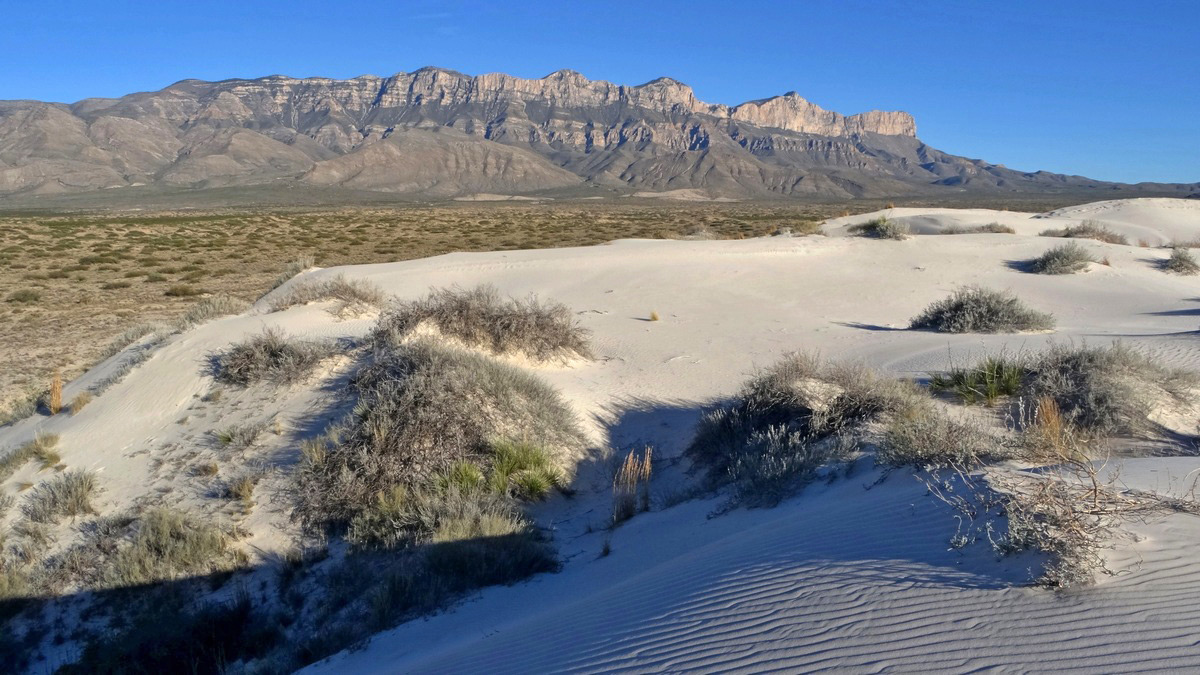 Dunes of Salt Basin