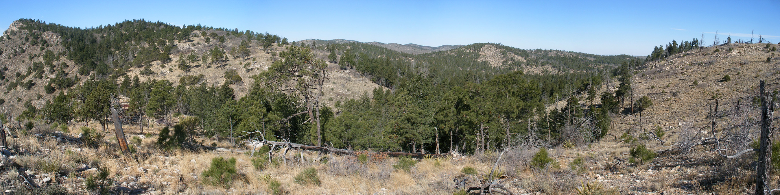 The Bowl, Guadalupe Mountains National Park