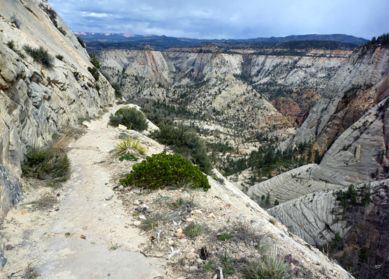 West Rim Trail, below the edge of Horse Pasture Plateau