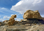 photograph