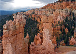 Hat Shop Trail