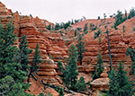 Pink Ledges Trail