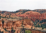 Photo Trail