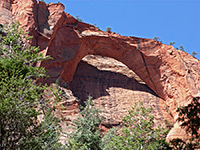 Kolob Arch