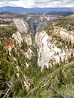 View north along Mystery Canyon