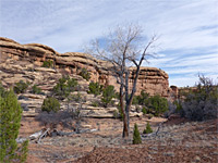 Cliffs in Squaw Canyon