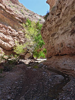 Wittwer Canyon