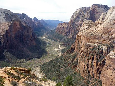 Virgin River near Weeping Rock