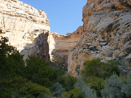 Photographs of Dinosaur National Monument