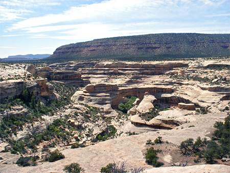 Photographs of Natural Bridges National Monument