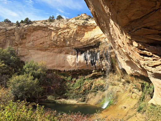Bushy alcove in Calf Creek Canyon, beside the falls