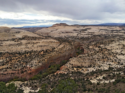 The middle part of Calf Creek Canyon