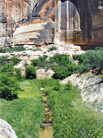 Photographs of Grand Staircase-Escalante National Monument