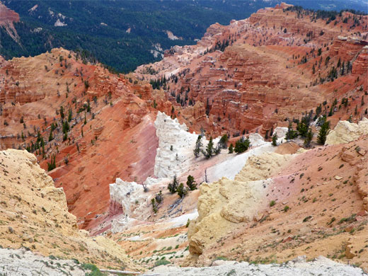 Photographs of Cedar Breaks National Monument